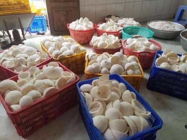 Dầu dừa Bến Tre chai 500ml rất thơm