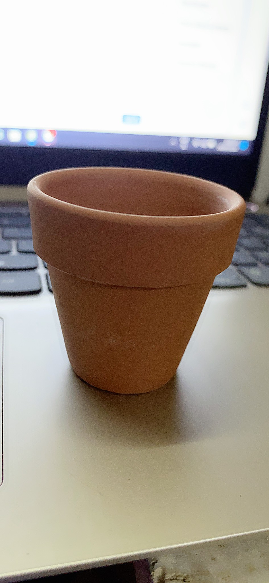SEN ĐÁ HOA HỒNG ĐEN ( 8CM ) kèm chậu MR MOON