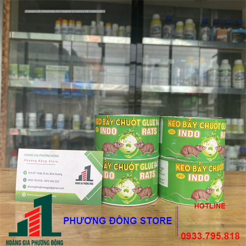 Keo dính chuột lon ( lon 90g )