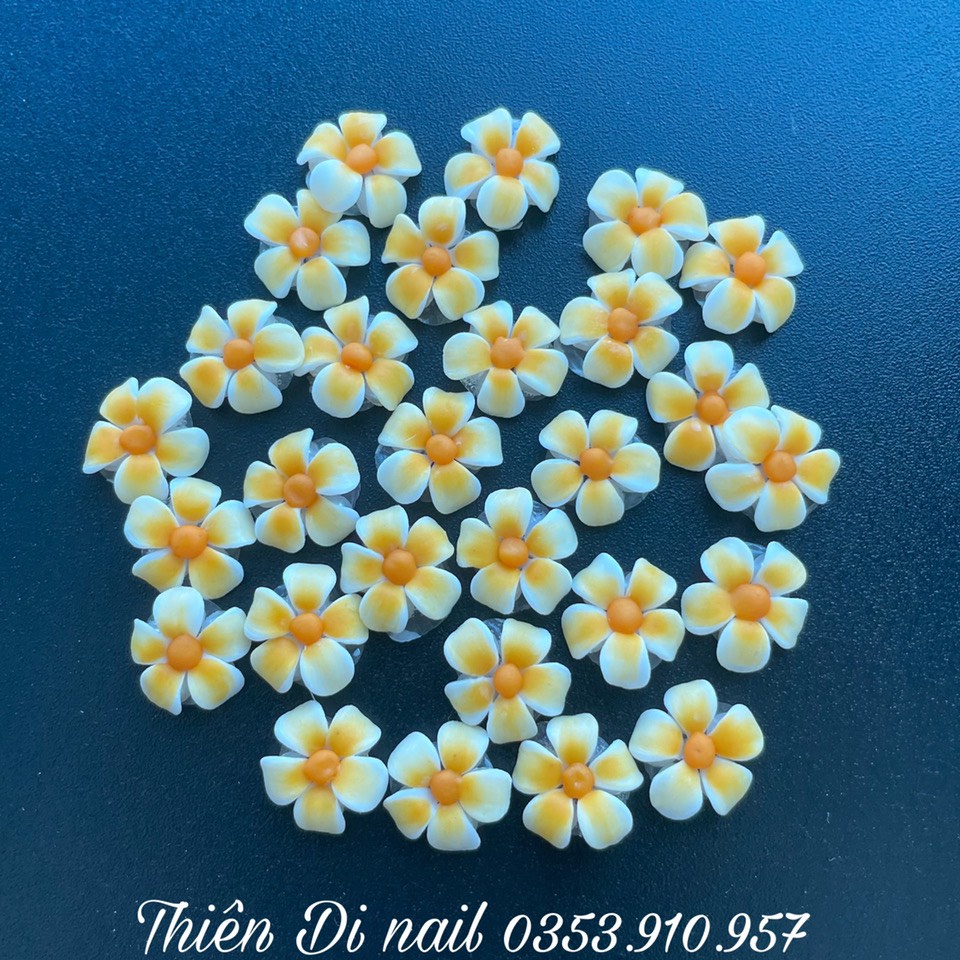 Hoa bột nail - hoa sứ đính móng tay MOON NAIL
