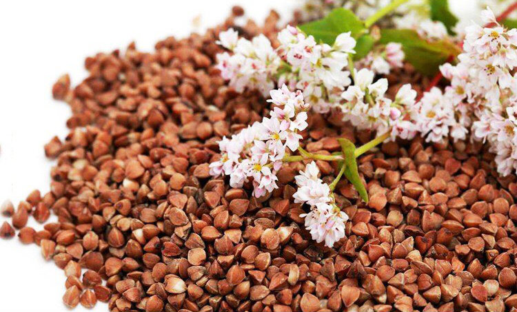 [HCM]Trà kiều mạch nâu đắng núi Daliang 200g ( ngọc trai đen)