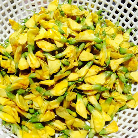 1g Hạt Giống Bông Điên Điển