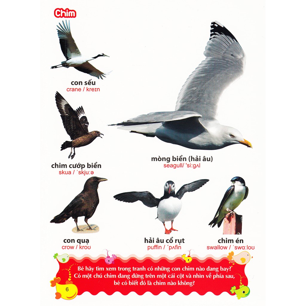 Sách- Từ Điển Tranh Về Các Con Vật (ML)