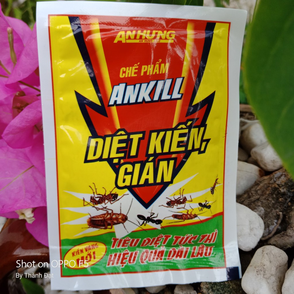 Thuốc diệt kiến ,gián gói dạng bột (20gr)