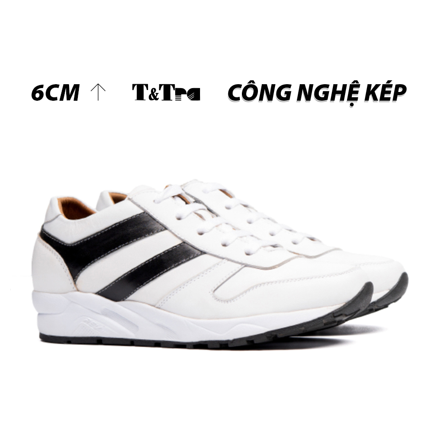 Giày cao nam t&tra t20trắng cao 8cm