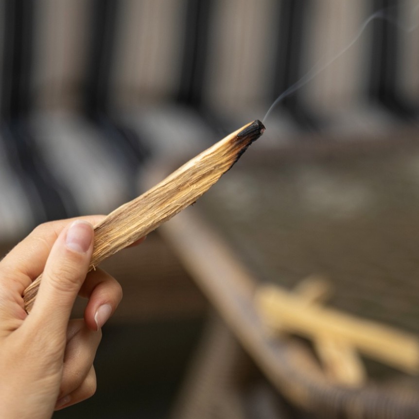 Gỗ Trắc Xanh (Palo Santo) l XÔ THƠM THANH TẨY