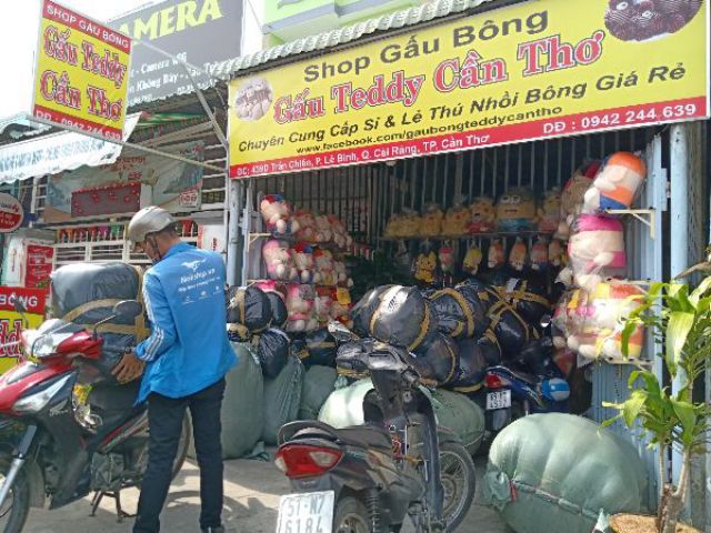 GẤU BÔNG BROWN KHỔ VẢI 1M4 CAO 1M2