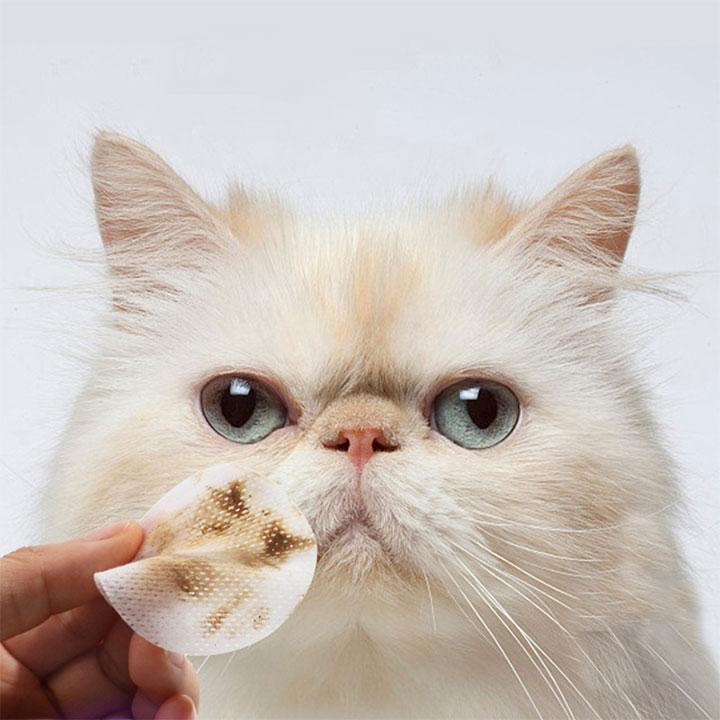 [HOÀN TIỀN 10%][Lấy mã giảm thêm 30%] Hộp giấy lau ố mắt ALoe Remove cho thú cưng - CutePets