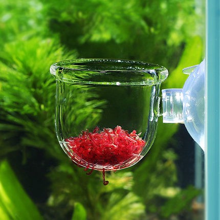 Cốc Đựng Giun Cho Cá Ăn- Cốc Đựng Giun Dán Bể Kính