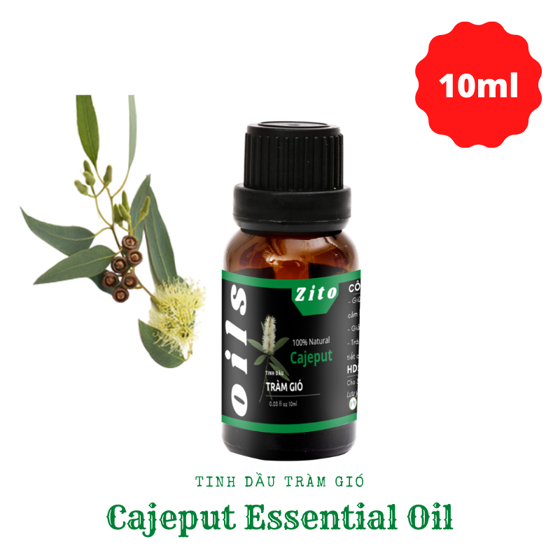[HCM]Tinh Dầu Tràm Gió Zito 10ml