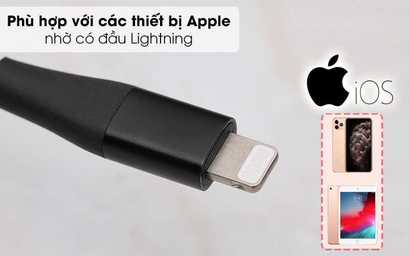 Cáp Type C - Lightning MFI 0.9m Anker PowerLine+ II A8652 ( Likenew )