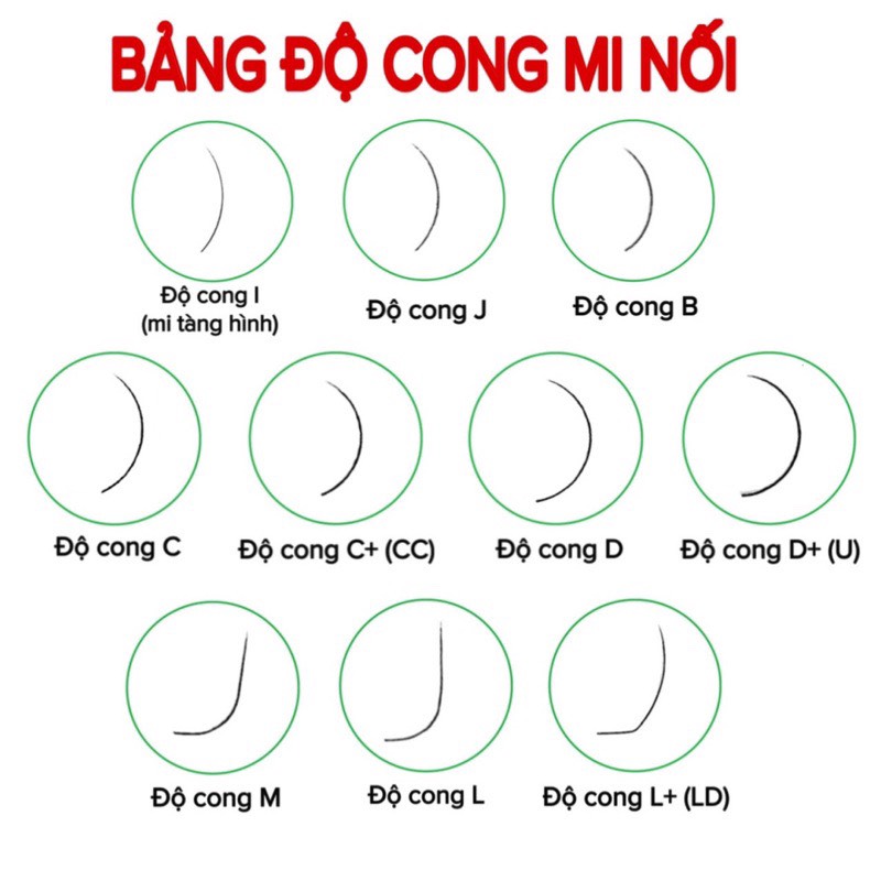 Mi khay SEDUIRE độ cong C (12 hàng) tóc Silk