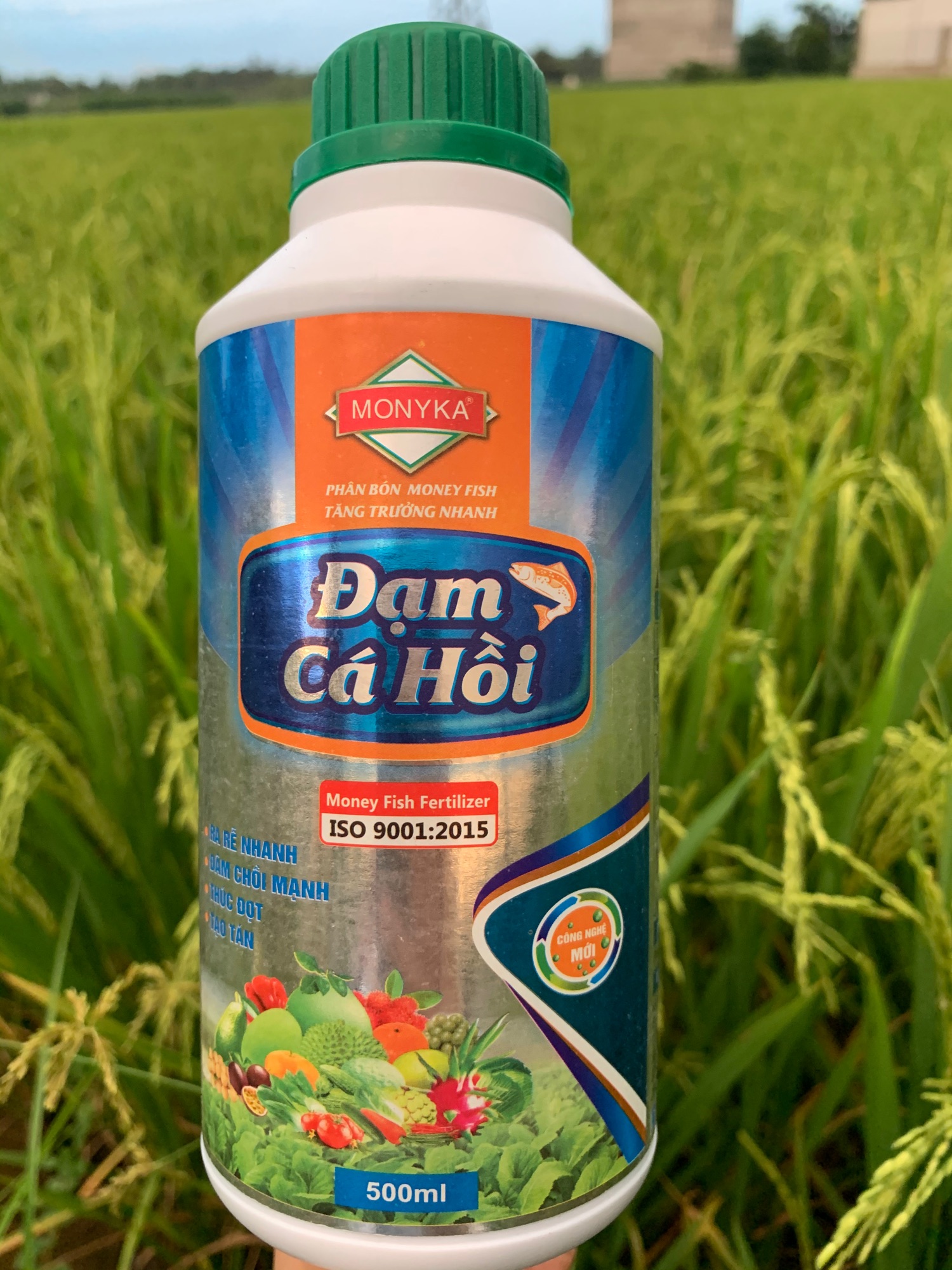 Đạm cá hồi Monyka 500ml