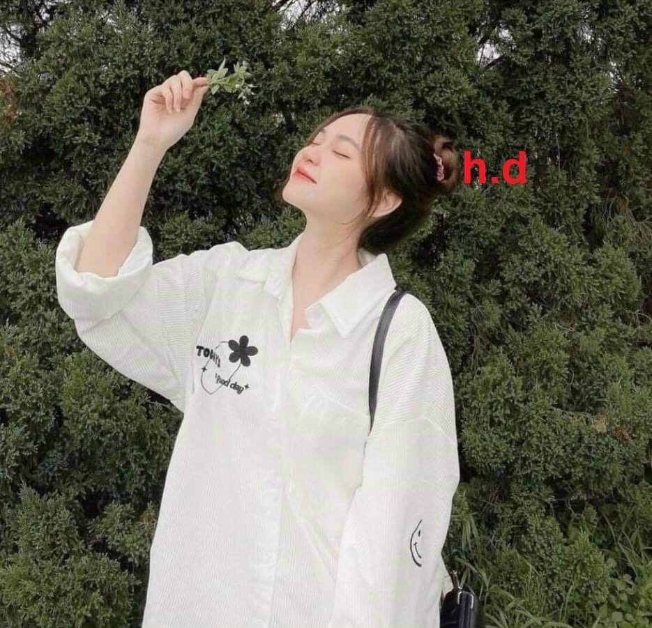 Áo sơ mi trắng cỏ 3 ba lá dáng thụng siêu xinh