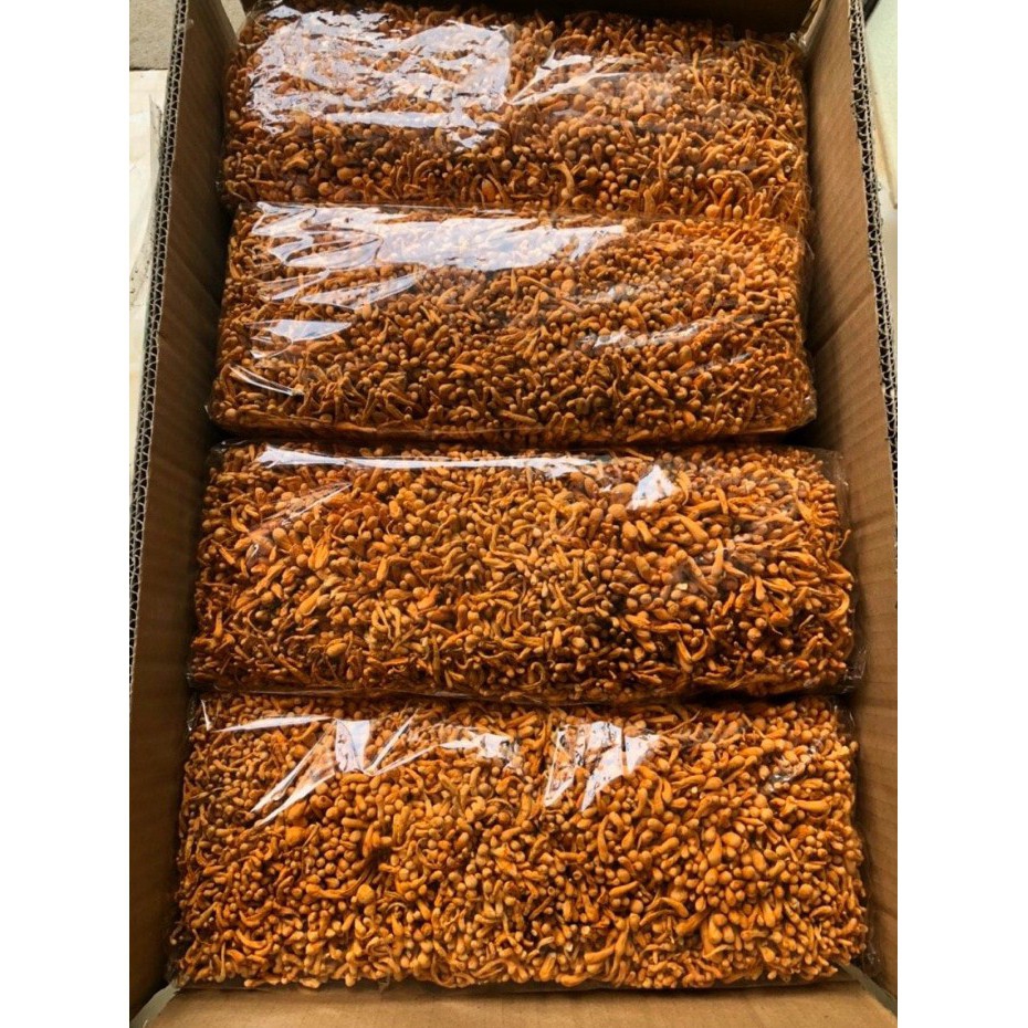 (1KG) ĐÔNG TRÙNG HẠ THẢO SẤY KHÔ (loại xếp ngang vip)