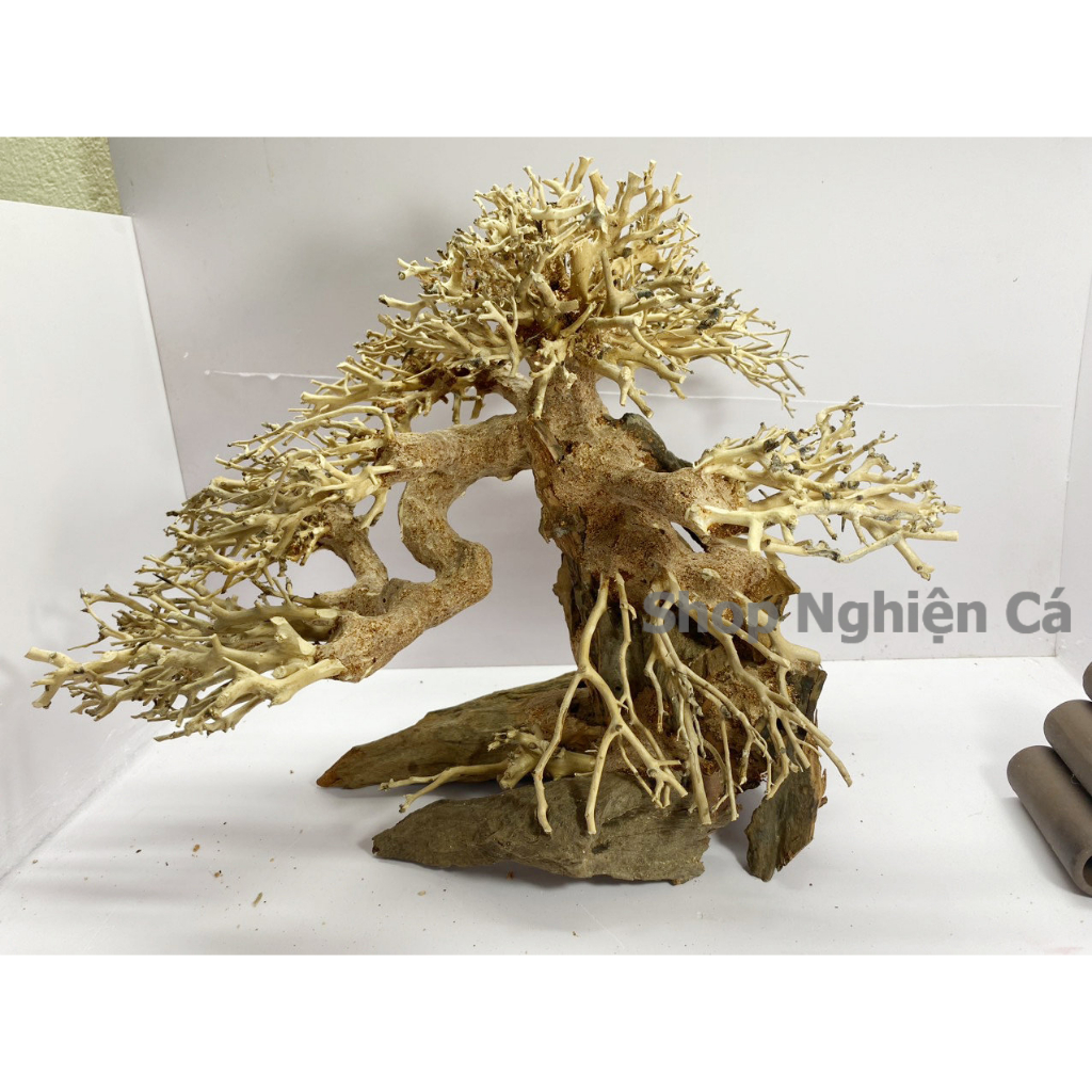 Lũa Bonsai Mini Trang Trí Bể Cá - Bể Thủy Sinh Dáng Đổ