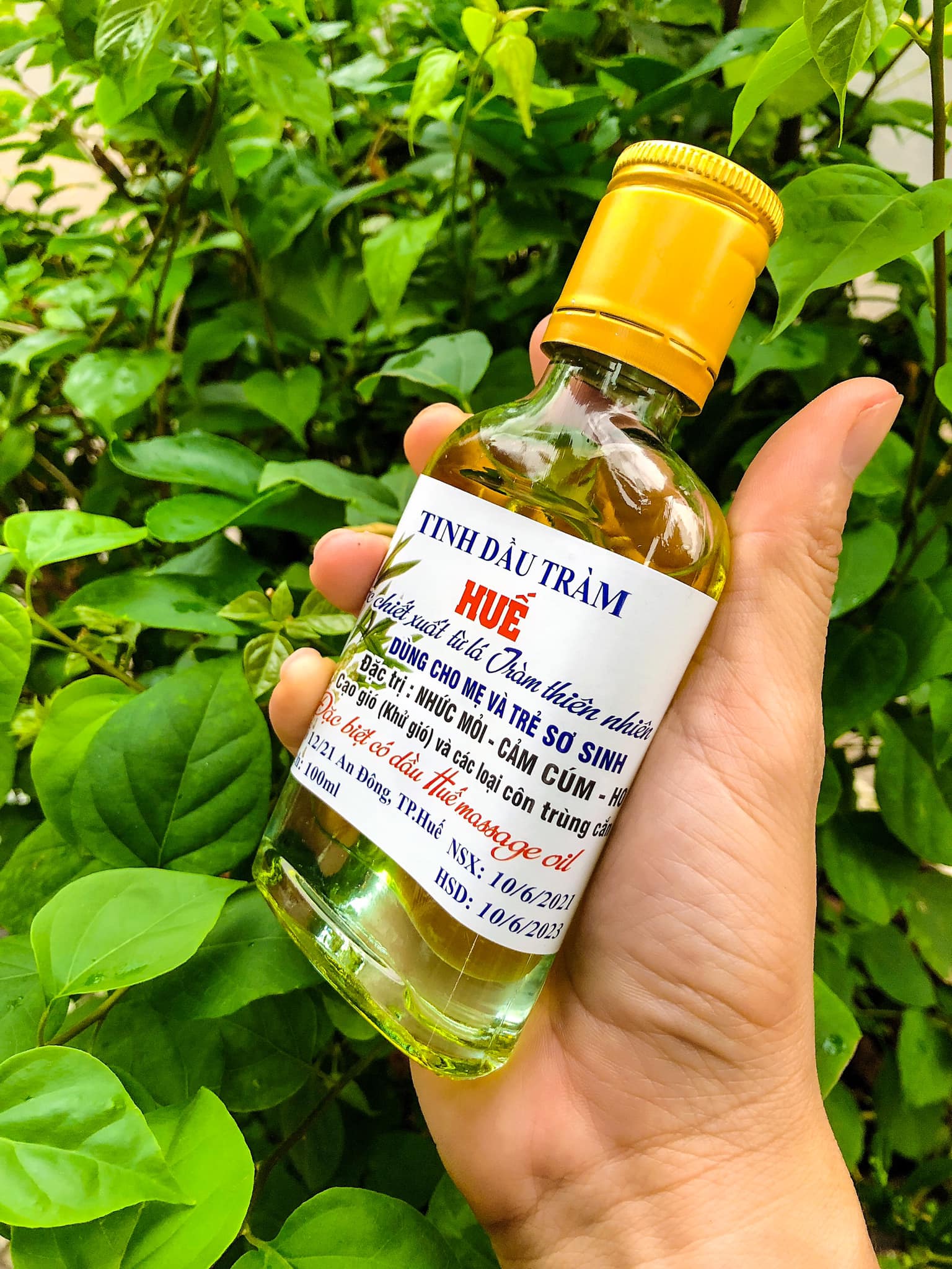 Tinh dầu tràm Huế nguyên chất 100 ml