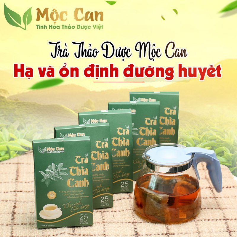 Trà dây thìa canh mộc can