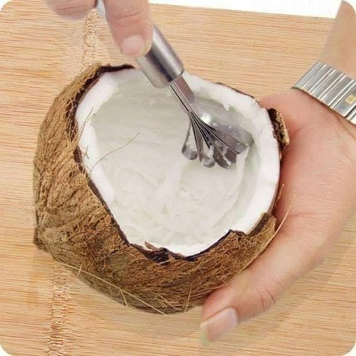 Fish Scale Removal Tool, Coconut Scraper