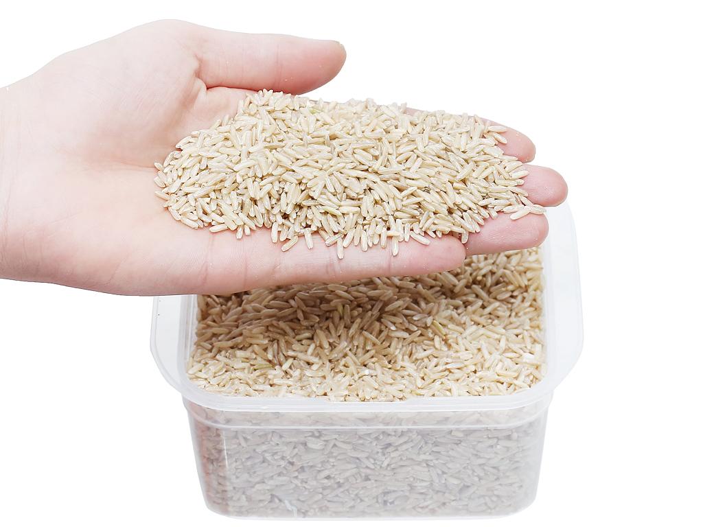 Gạo lức PMT túi 1kg