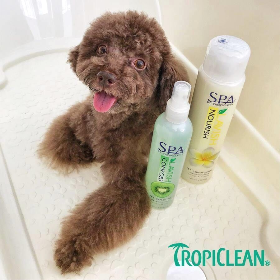 DẦU XẢ SPA - TROPICLEAN CHO THÚ CƯNG - 473ML