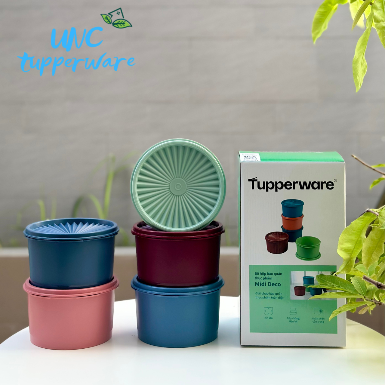 Bộ hộp bảo quản thực phẩm Tupperware Midi Deco (5)