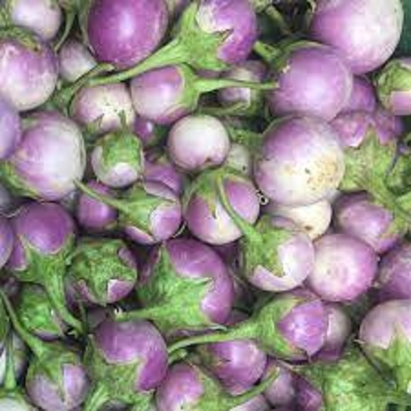 Hạt giống cà pháo tím siêu trái -gói 0,2 gram