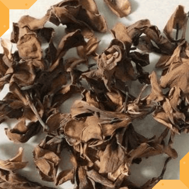 BÔNG SỨ KHÔ - 1 KG