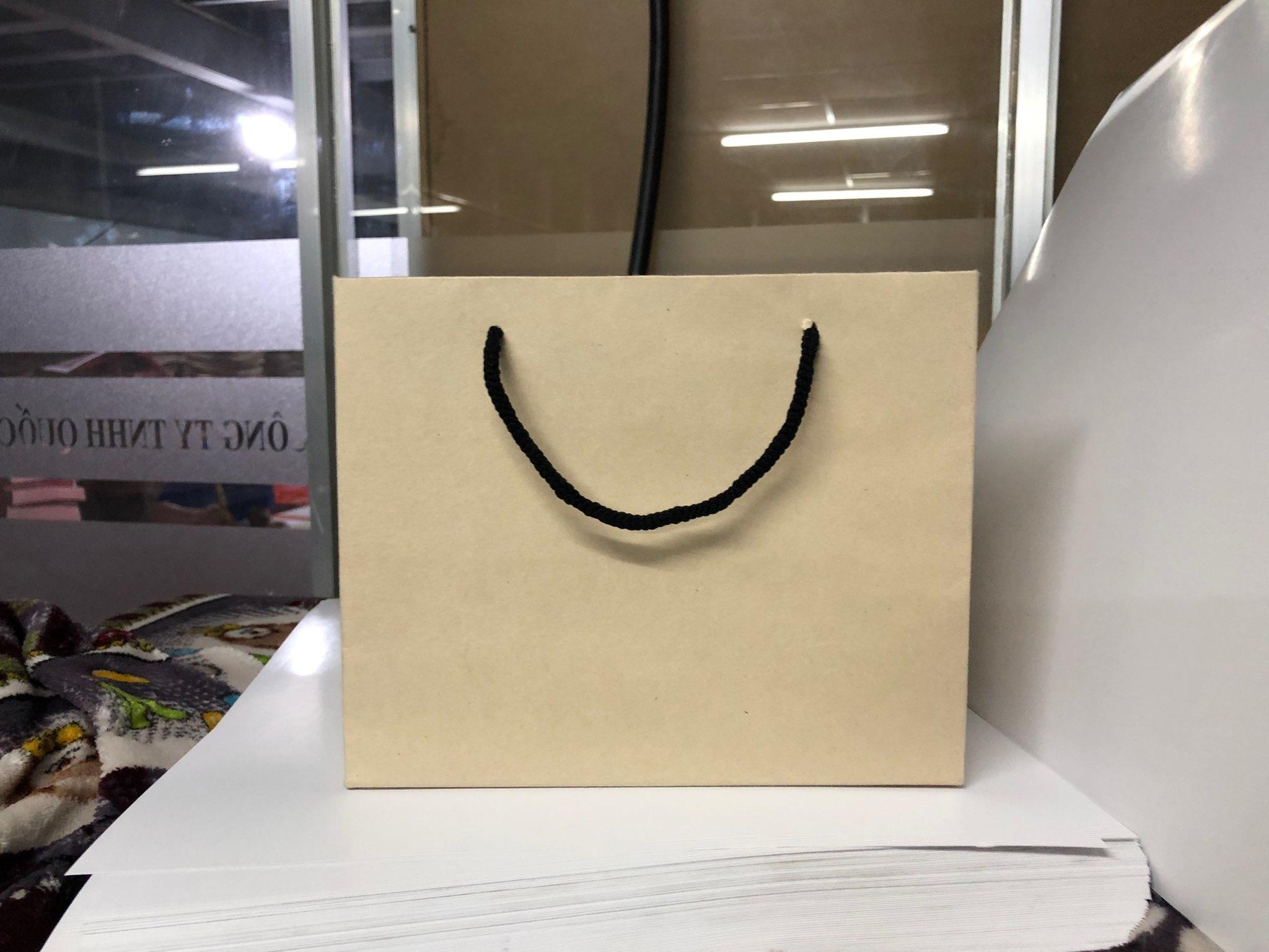 Combo 10 Túi Giấy trơn KT12 (KT: 18 x 22 x16cm)