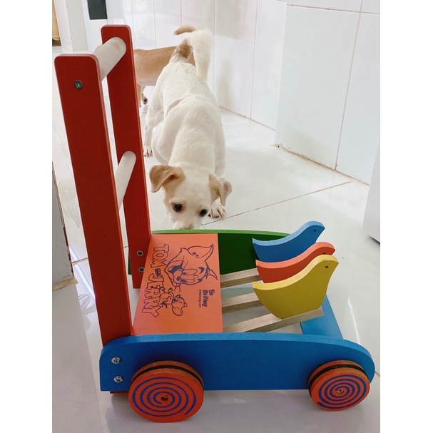 Premium 3 chicken wooden learning Walker for your baby