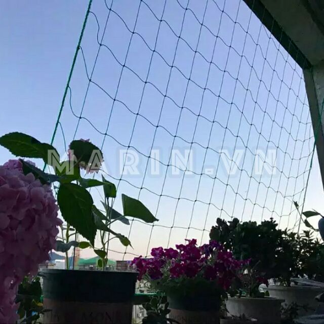 Lưới Giàn Cây Leo Nhiều Kích Thước