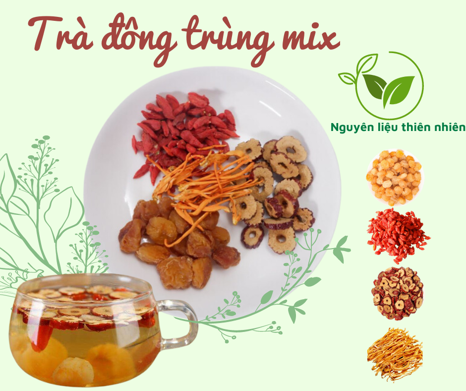 Trà đông trùng mix vị thanh nhiệt chất lượng hảo hạng