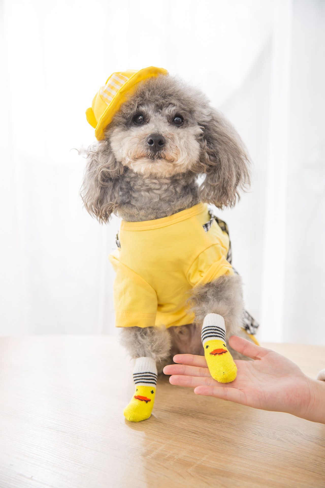 4-Legged Socks Keep Warm and Reduce Foot Dirt for Dogs and Cats -T3 Pets Shop