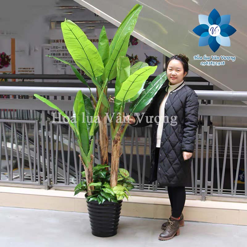 Cây Giả Cây Chuối Quê Giả Cao 1,6M