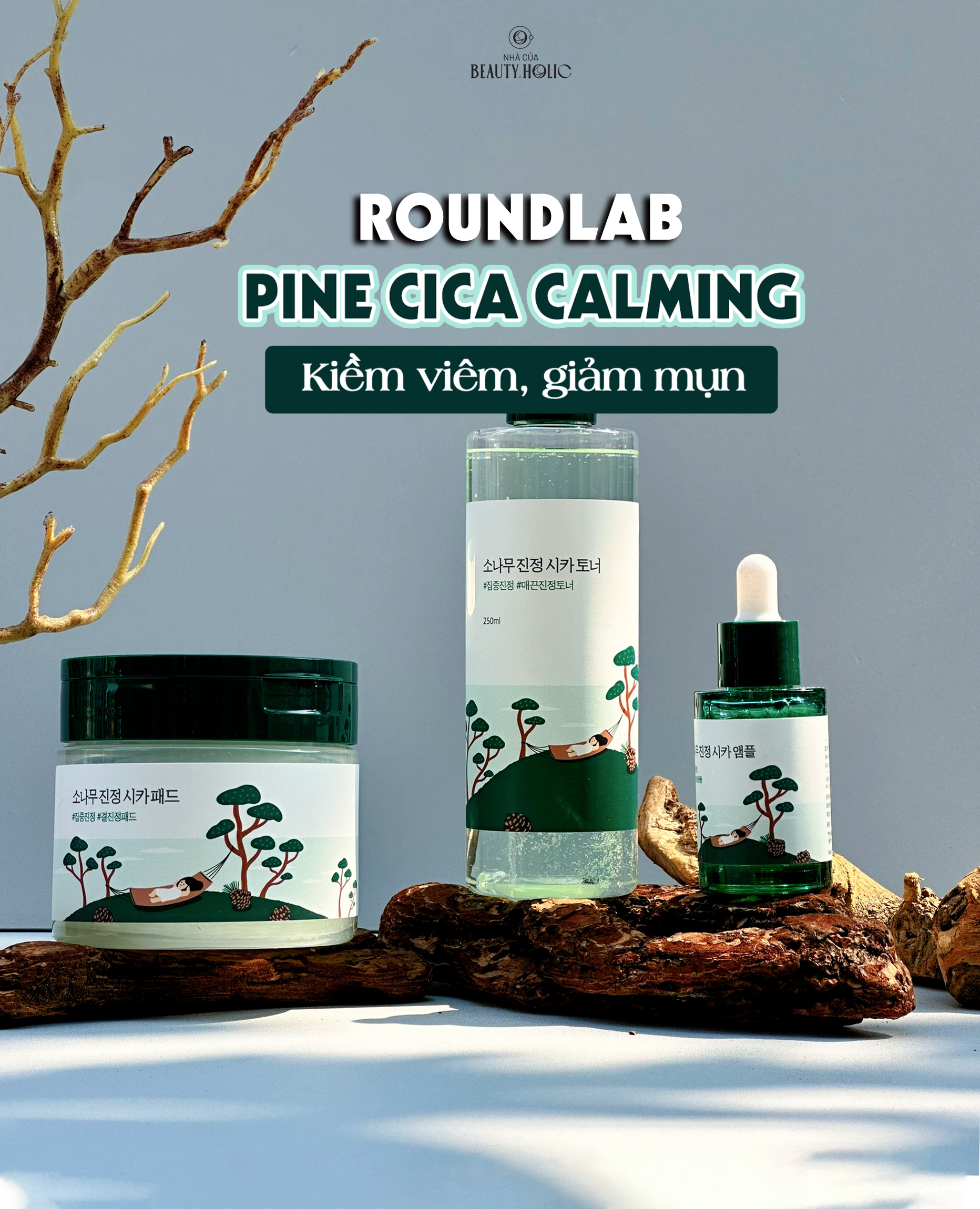 [Nhacuabeautyholic] Tinh chất, pad và toner dịu mụn ROUNDLAB PINE CALMING CICA
