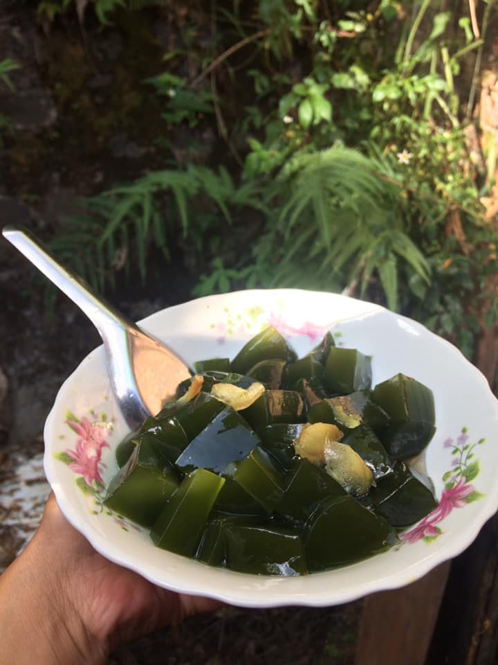 Cây sâm lông, (1 cây), làm thạch, cây sâm rừng, cây nhân sâm làm thạch