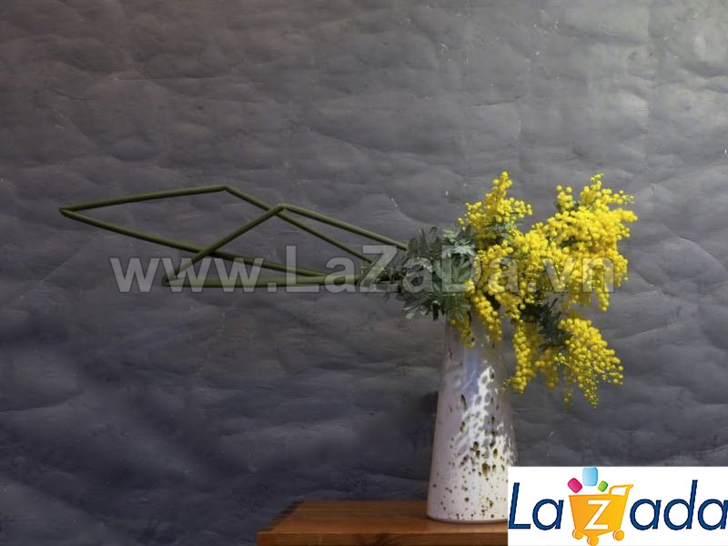 50h Hạt Giống Cây Mimosa (| -KD: B21*V64*M224)