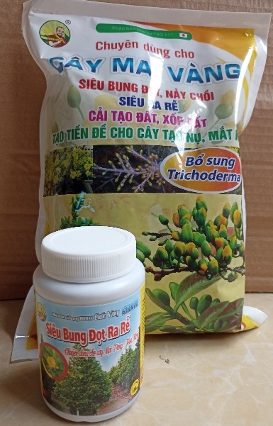 Combo chăm sóc mai vàng sau khi ra hoa ( 1 kg gói phân bón gốc+ 1 chai 100ml phun bung đọt, ra rễ)