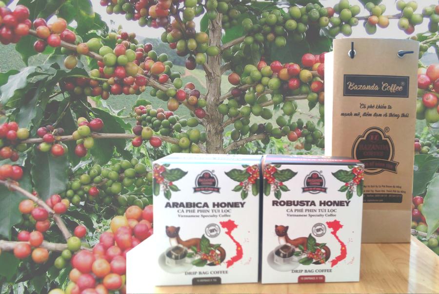 Cà phê phin túi lọc Robusta