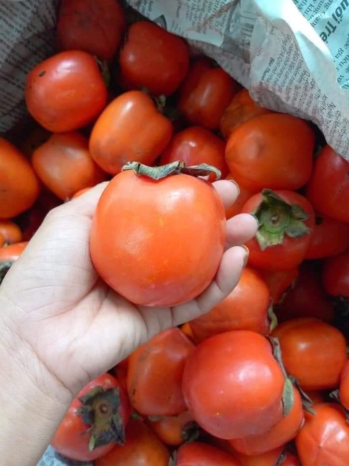 500gr Hồng sấy Đà Lạt