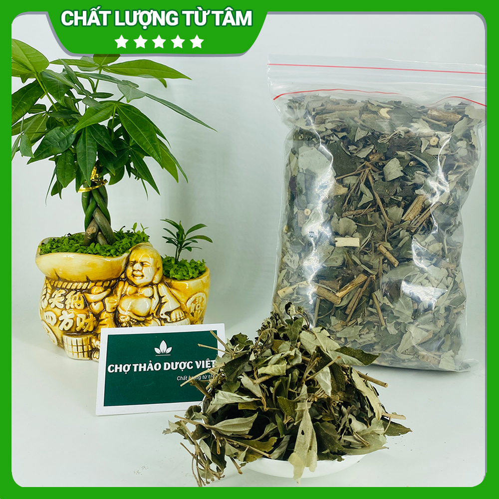 Khổ sâm khô 1kg, hỗ trợ giảm đau dạ dày, trào ngược, đại tràng, kháng khuẩn, tốt cho tiêu hóa