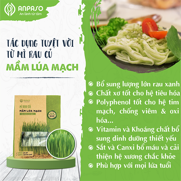 Mì Mầm Lúa Mạch Organic Anpaso 300g