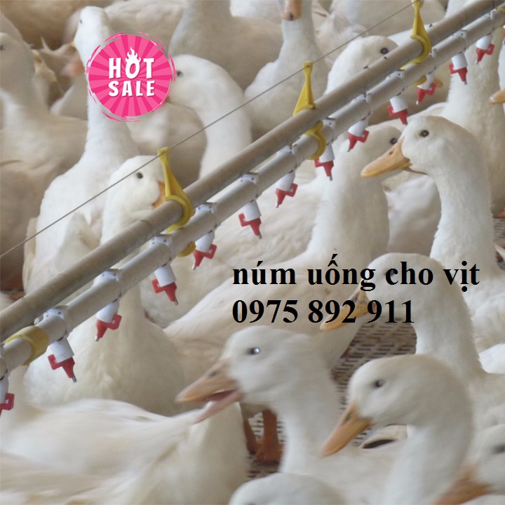 10 cái máng uống tự động cho vịt  dạng núm