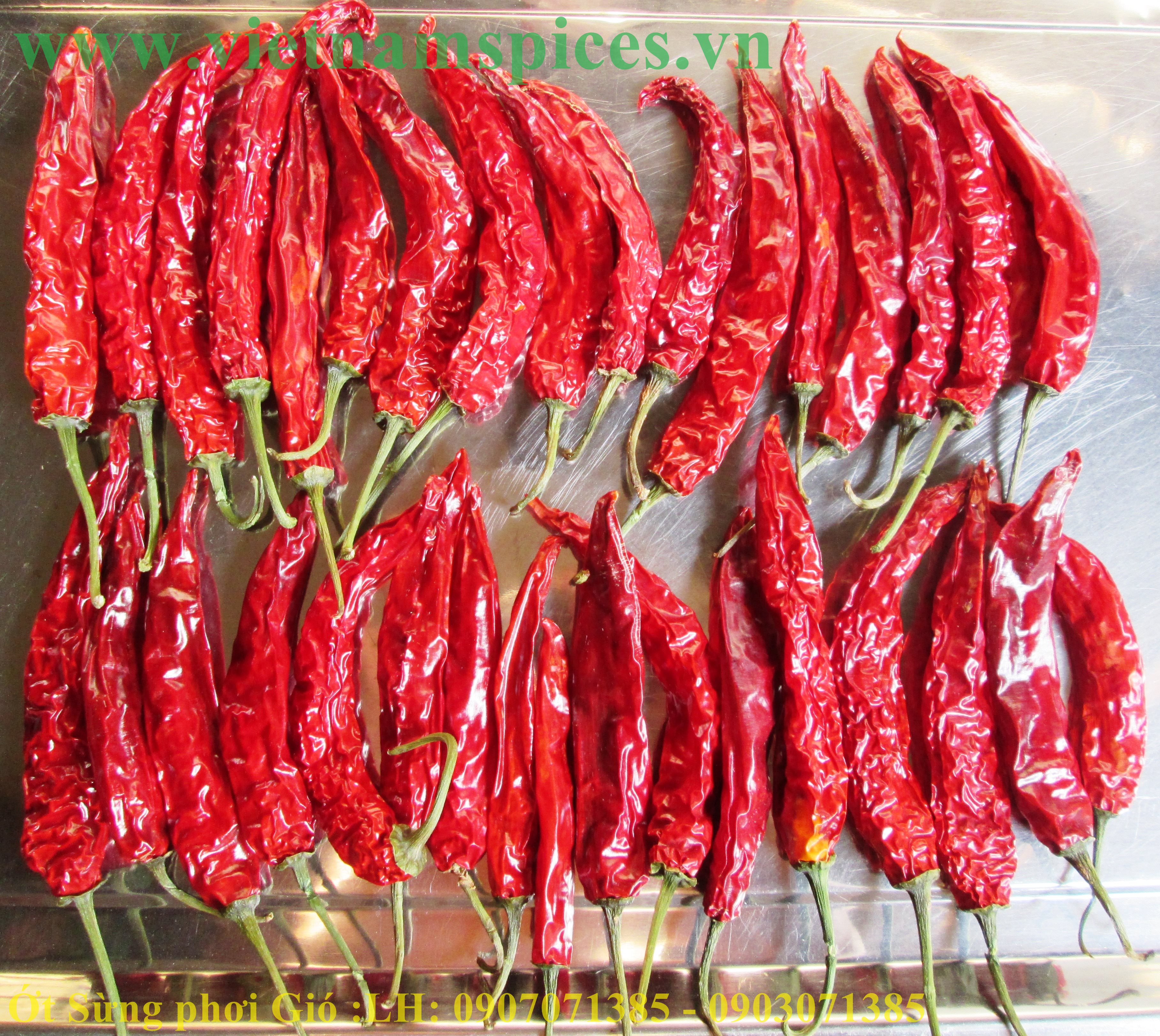 Ớt Sừng trái  Phơi Khô Cao Cấp 100gram