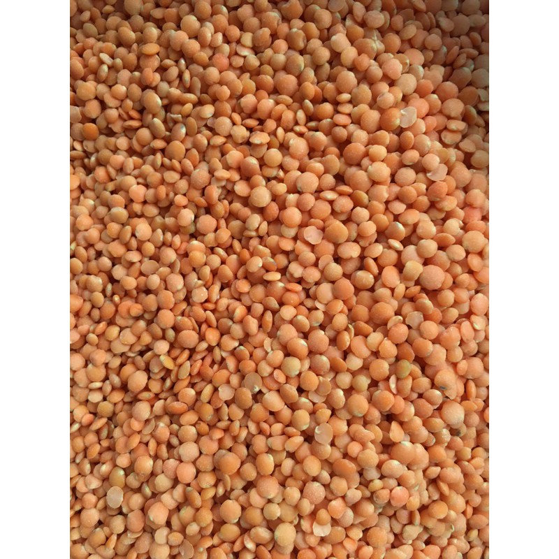 Đậu lăng đỏ thơm ngon (Gói 1kg hút chân không)