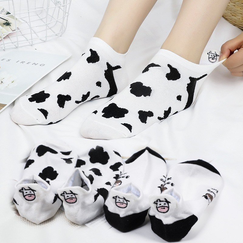 Combo 05 đôi tất BÒ SỮA ngắn Siêu đáng yêu