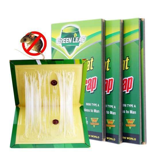 Keo Dính Chuột Mẫu Mới Kèm Mồi Siêu Dính