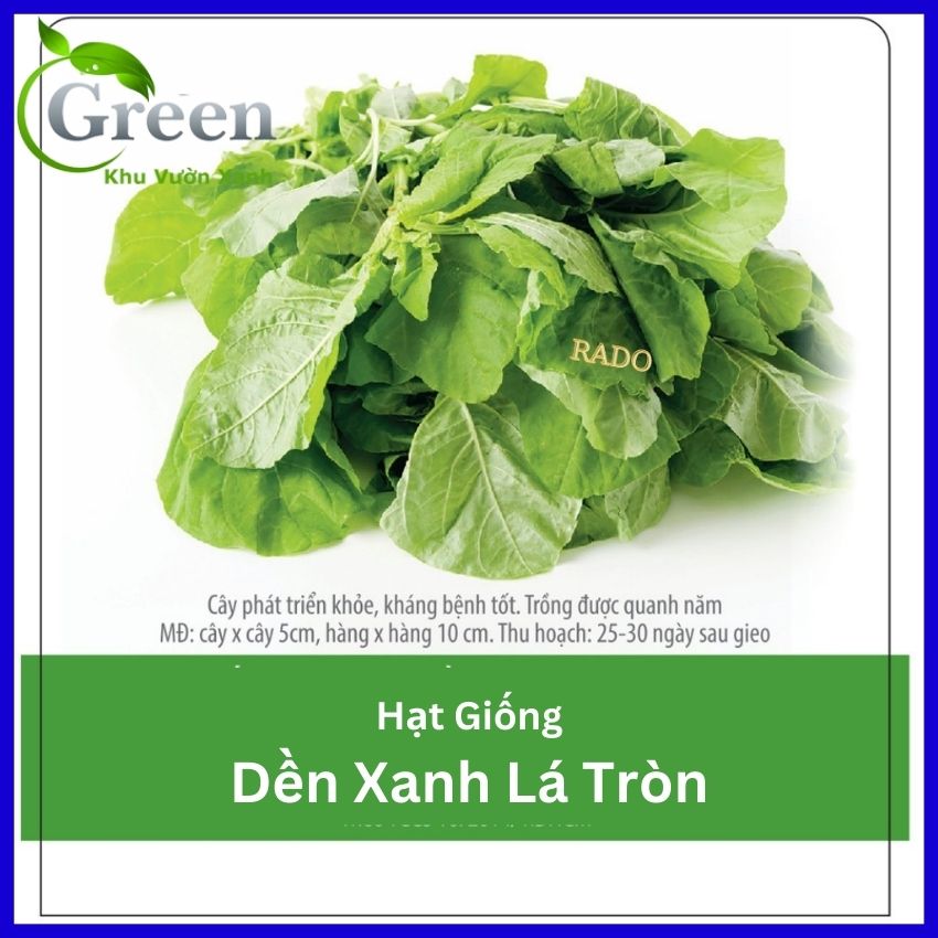 Hạt Giống Rau Dền Xanh Lá Tròn