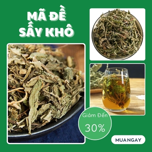 [Hàng mới về] Mã đề sấy khô 1kg - Thảo Dược Tấn Phát - Hàng sạch chất lượng cao giúp thanh nhiệt và giải độc - Hỗ trợ lợi tiểu cực kỳ hiệu quả