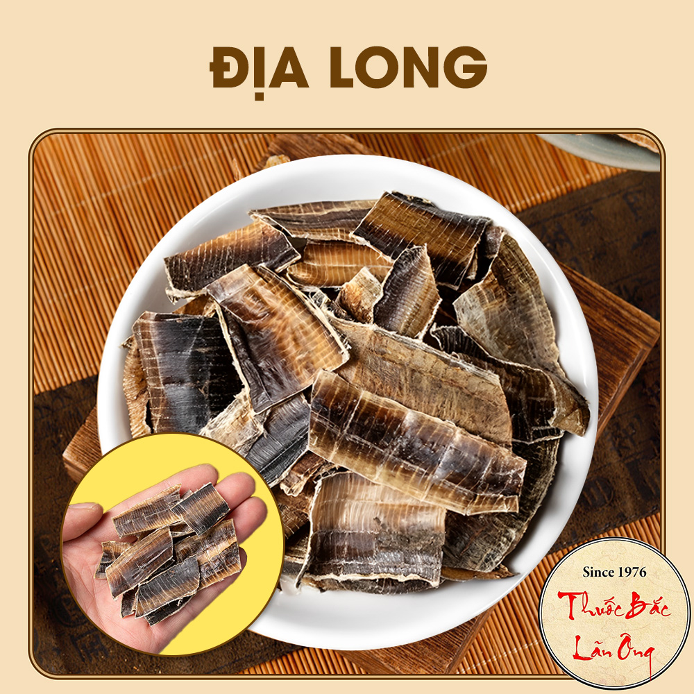 Địa long khô sạch 100g (Hàng to, sạch, đẹp) - Thuốc Bắc Lãn Ông